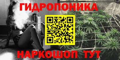СК Донской