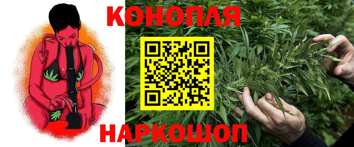 Бошки марихуана сатива Сорочинск